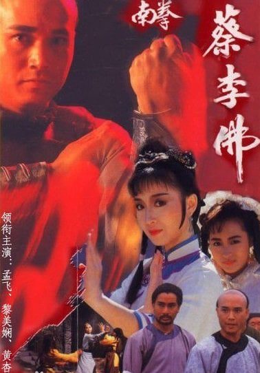 Nam quyền thái lý phật - The rise of a kung fu master