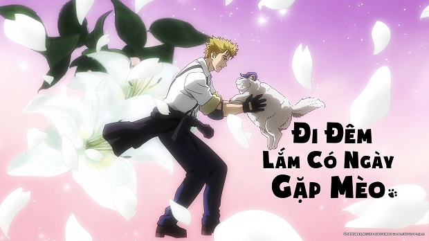 Đi Đêm Lắm Có Ngày Gặp Mèo