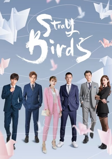 Bầy Chim Lạc - Stray Birds