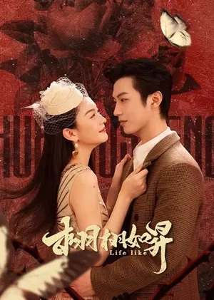 Tình Vút Bay - Life Like