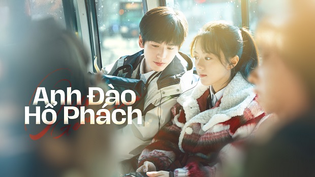 Ảnh phim Anh Đào Hổ Phách