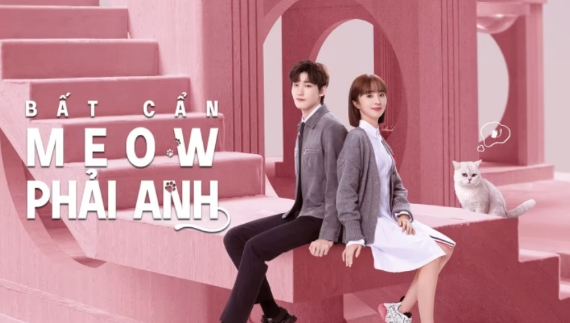Ảnh phim Bất Cẩn Meow Phải Anh