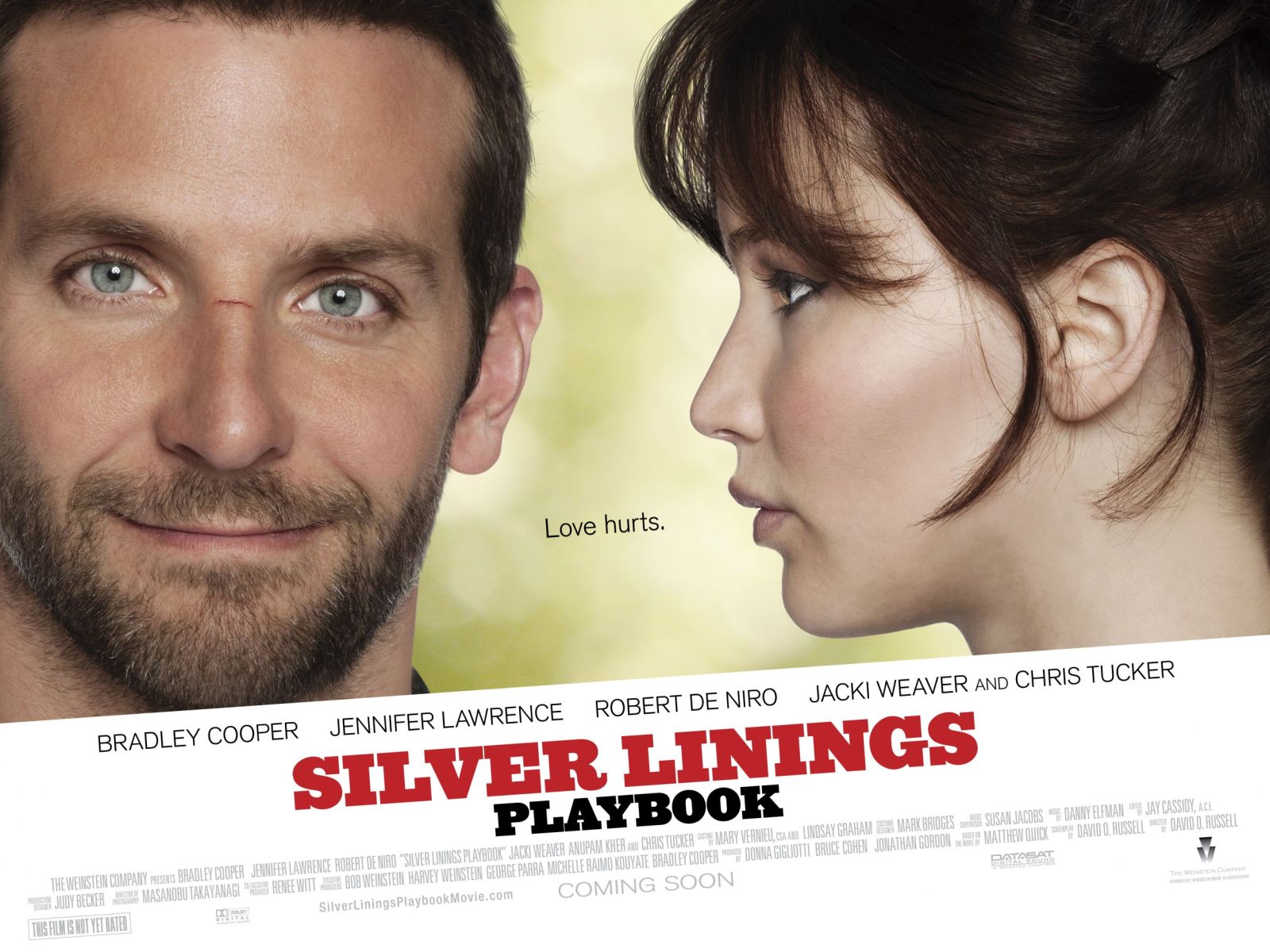 Tình yêu tìm lại - Silver linings playbook