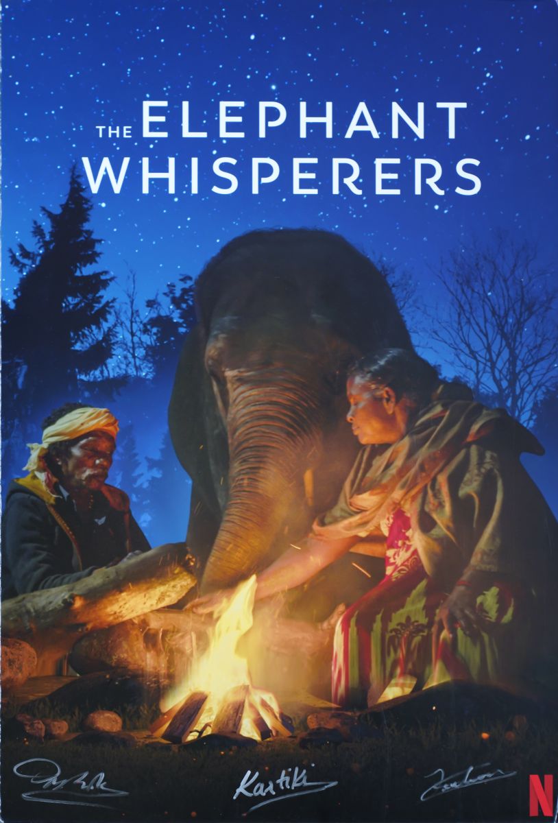 Người chăm voi - The elephant whisperers