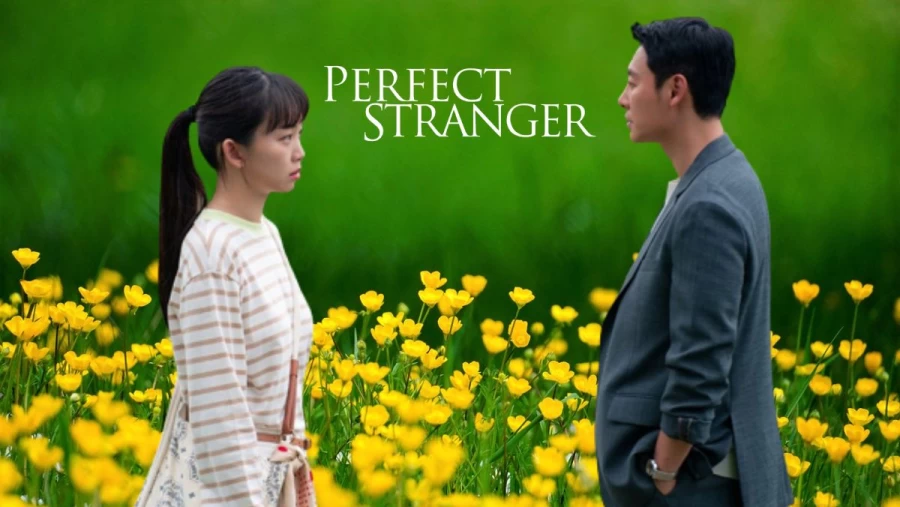 Người Lạ Hoàn Hảo - My Perfect Stranger