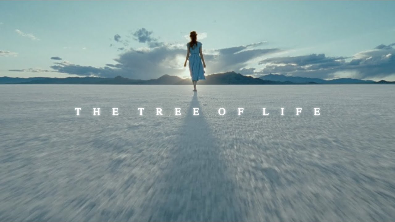 Cây đời - The tree of life