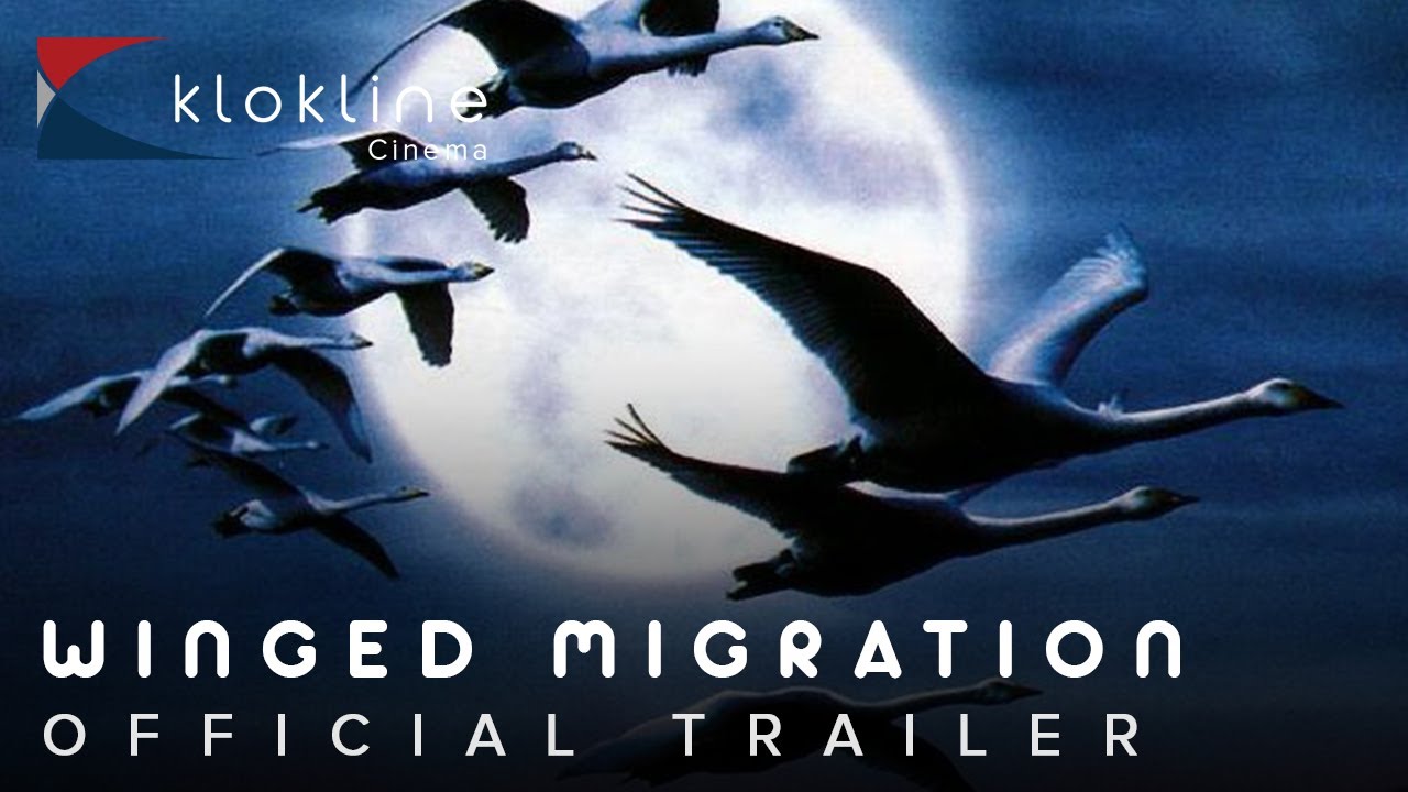 Những Cánh Chim Di Cư - Le peuple migrateur/Winged Migration